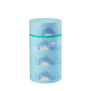 Biodegradable Custom Printing Oil Aroma Diffuser Candle Cosmetic Cardboard Canister Luxury Round Cylinder Paper Tube Box
