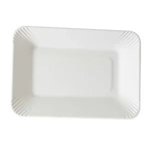 Biodegradable Disposable Heavy Duty Eco-Friendly Cake Tray & Food Container for Party Use