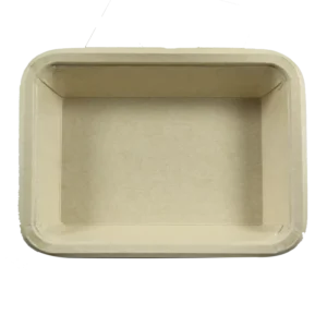 Biodegradable Disposable Kraft Paper Food Tray