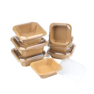 Biodegradable Disposable Paper Food Tray