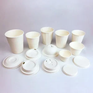 Biodegradable Disposable Sugarcane Bagasse Pulp Coffee Paper Cups with Lids, 6 oz and 8 oz