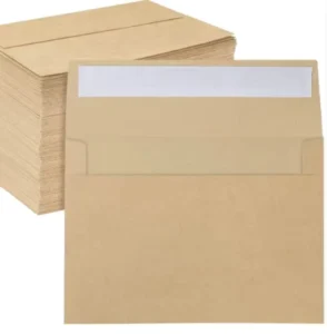 Biodegradable Kraft Paper Clothing Shopping Mailing Envelopes Documents Express Gifts and Craft Bags