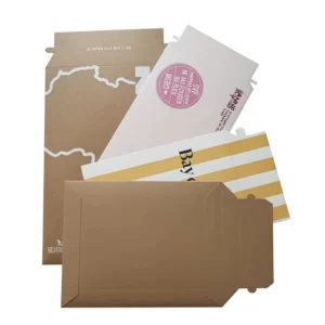 Biodegradable Kraft Paper Express Delivery Mail Envelope