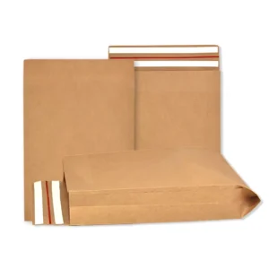 Biodegradable Kraft Paper Mailing Bag for Clothing