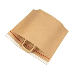 Biodegradable Kraft Paper Mailing Cardboard Envelopes