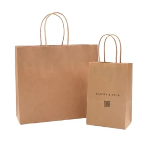 Biodegradable Kraft Paper Shopping Bags With Twisted Handles And Logo Printing