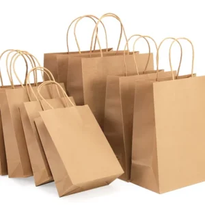 Biodegradable Kraft Paper Shopping and Grocery Bag with Handle, Custom Printing