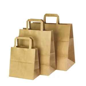 Biodegradable Kraft Paper Takeaway Bag with Flat Handles