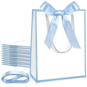 Biodegradable Paper Gift Bags with Ribbon Handles for Boutique Apparel Packaging