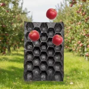 Biodegradable Paper PP Fruit Tray Display Inserts Fruit Alveoli Liner for Tomato Avocado