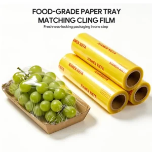 Biodegradable Rectangular Sealable Disposable Paper Tray