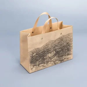 Biodegradable Recyclable Brown Kraft Paper Pouch Bag with Ribbon Handle