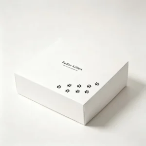 Biodegradable Recyclable Cardboard Packaging Box With Lid and Insert for Food Reusable