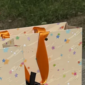 Biodegradable Recyclable Kraft Paper Bags with Handles for Pet Product Packaging