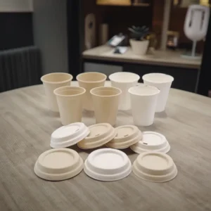 Biodegradable Sugarcane Pulp Paper Cups for Hot Drinks, 8 oz/12 oz