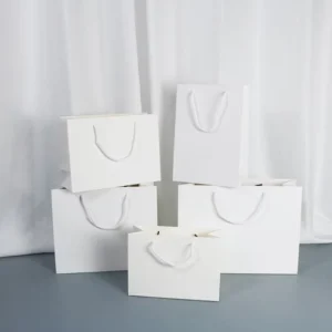 Blank White Paper Shopping Bag for Clothing and Cosmetics, Custom Printing