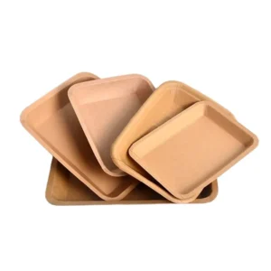 Blue Small Kraft Paper Food Trays for Catering Events and Takeout