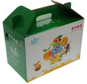 Blueberry Apple Fruits Corrugated Cardboard Carton Packaging Boxes With Handle