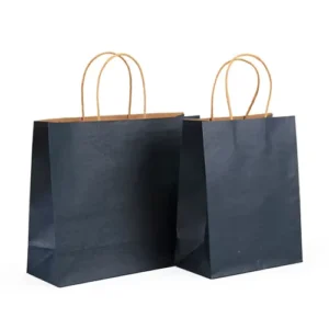 Brown Kraft Paper Bag Accept Custom Printing Stock Gift Bag Fast Food Take Away Twisted Handle Shopping Bag