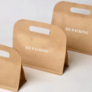 Brown Kraft Paper Gift and Takeaway Bag with Die-Cut Handle