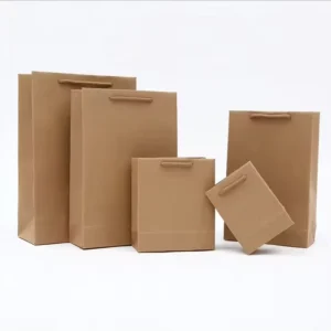 Brown Kraft Paper Shopping Bag with Cotton Handle for Retail Packaging and Gift Wrapping