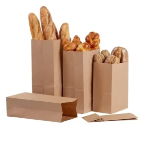 Brown Kraft Paper Takeaway Delivery Bags, Biodegradable, Custom