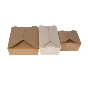 Brown Kraft Paper Takeout Lunch Box