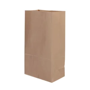 Brown Kraft Recyclable Pizza Sushi Carry Retail Delivery Takeaway Lunch Food Packing Bread SOS Paper Bag Button