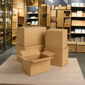 Brown and White Kraft Paper Corrugated Carton Shipping Boxes