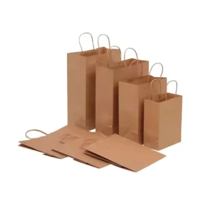 Brown and White Kraft Paper Packing and Shopping Bag with Custom Logo