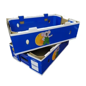Bulk Fruit and Vegetable Corrugated Folding Shipping Boxes for Cherries