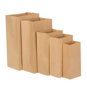 Can Be Custom Kraft Paper Bag Food Packaging Takeaway with Your Own logo
