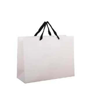 Cardboard Shopping Bags Hand Length Handle for Business Promotion Recyclable Biodegradable Customizable Premium Packaging