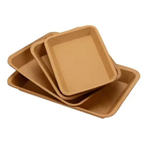 China Various Sizes of Kraft Paper Rectangular Trays Compostable Disposable Paper Plates