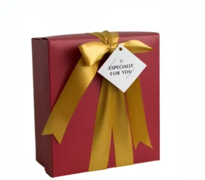 Christmas Gift Set with Portable Paper Bags, Gift Boxes, Greeting Cards, and Mailer Box