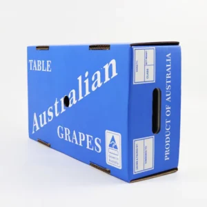 Color-Printed Corrugated Fruit and Vegetable Packaging Box