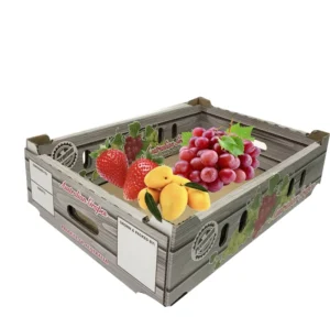 Kleurafdruk Golfkarton Papieren Dozen voor Druiven, Aardbeien, Mango's en Groenten