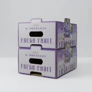 Colorful Dried Fruit and Vegetable Juice Paper Carton Box
