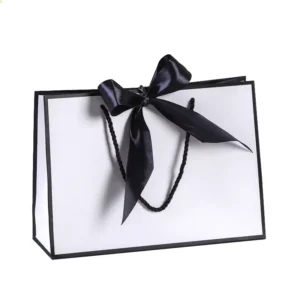 Colorful Kraft Paper Gift Bag with Printed Logo and Ribbon