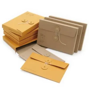 Colorful Paper Envelope with Expandable Gusset
