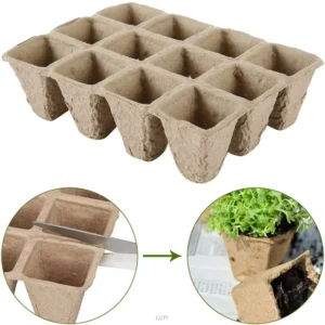 Compostable Cardboard Seedling Tray Grow Kit with Planting Cells for Eco-Friendly Household Use