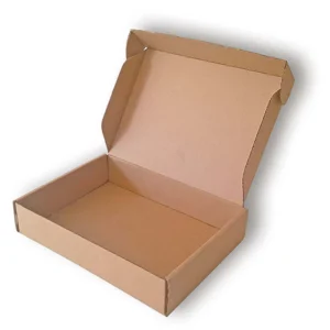 Corrugated Cardboard Carton Packaging Box for Moving, Shipping, and Storage with Custom Size and Logo Printing