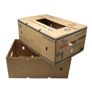 Corrugated Cardboard Fruit and Vegetable Packaging Carton Box with Embossed Kraft PET Paper
