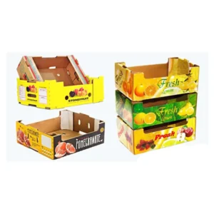 Golfkartonnen Verpakkingsdoos voor Granaatappel, Sinaasappel, Appel, Kiwi, Drakenfruit en Groenten