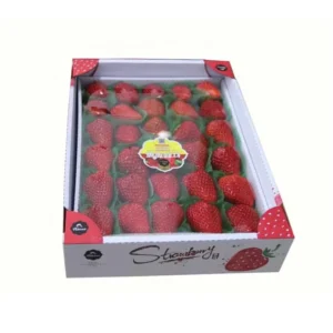 Corrugated Carton Customized Printing Fruit Packaging Box with Window
