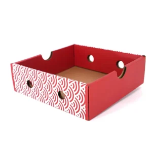 Corrugated Carton Packaging Boxes for Grapes, Strawberries, Mangoes, and Vegetables