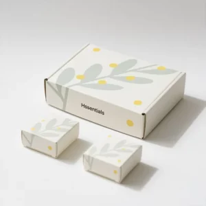 Corrugated Folding E-commerce Paper Packaging Box with Lining