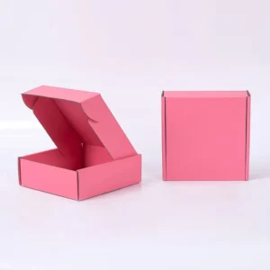 Corrugated Kraft Cardboard Die-Cut Folding Mailer Box for Subscription Shipping