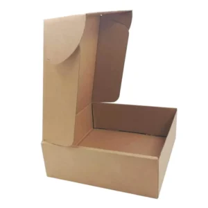 Corrugated Paper Delivery and Shipping Box