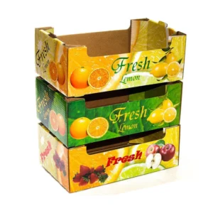 Corrugated Paper Fruit Tray for Shipping and Mailing, Apple and Banana Packaging, Embossed Matte